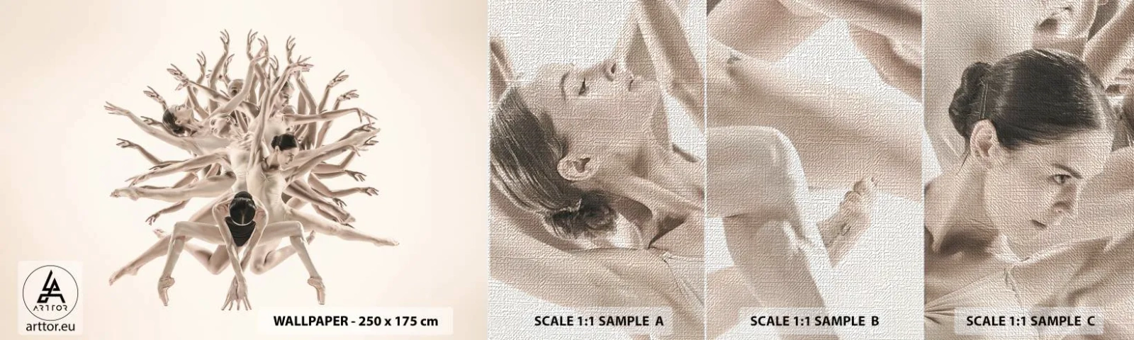 Mostră tapet Premium Canvas - Înflorirea în dans - Abstracția, Bucată, Balet - 100x30 cm