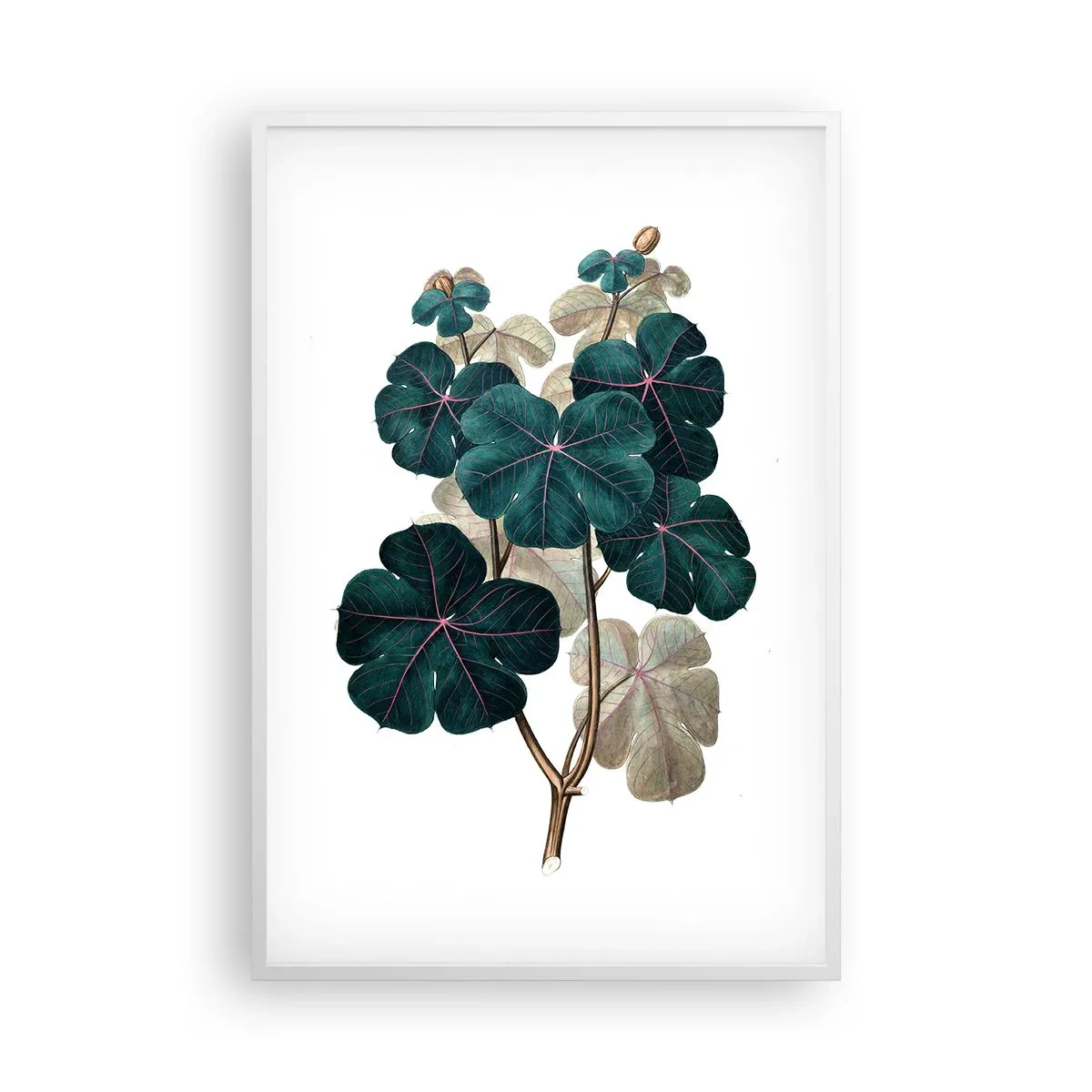 Poster în ramă albă - Dintr-un vechi ierbar - 61x91 cm