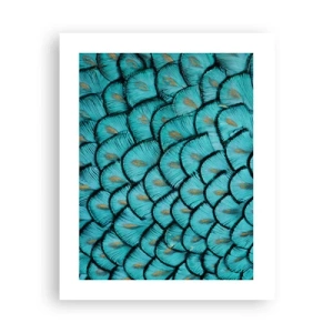 Poster - Marea gală a penelor - 40x50 cm