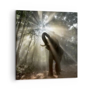 Tablou pe pânză - Sub o stea norocoasă - 50x50 cm