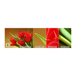 Mostră de Tapet Standard Eco - O explozie de bucurie de primăvară - Flori, Lalele, Buchet de flori - 100x30 cm