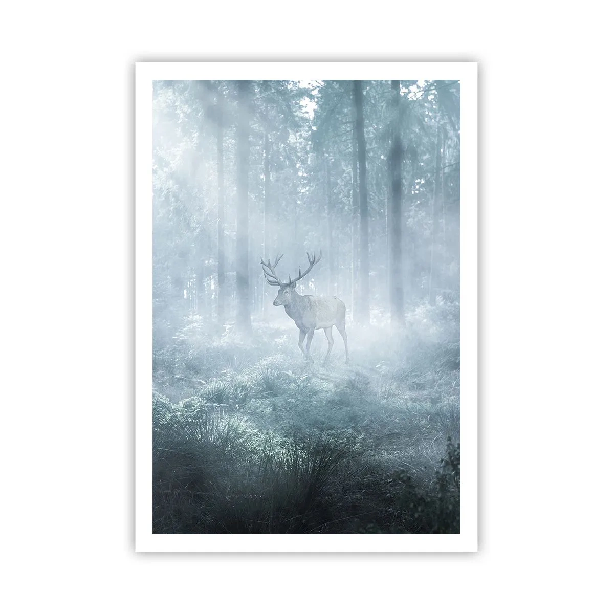 Poster - Plimbarea de dimineață prin regat - 70x100 cm