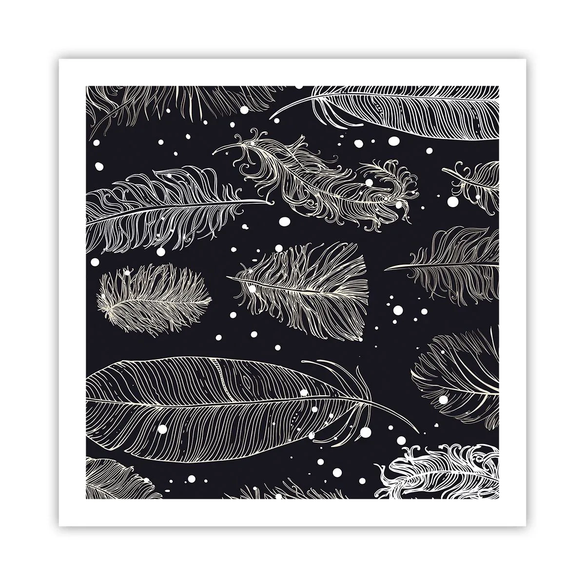 Poster - Dantelă cu pene - 60x60 cm