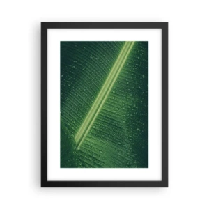 Poster în ramă neagră - Structura verdelui - 30x40 cm