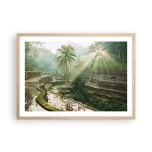 Poster în ramă de stejar deschis - Crescând la soare - 70x50 cm