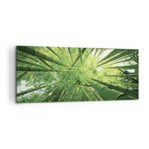 Tablou pe pânză - Într-o pădure de bambus - 100x40 cm