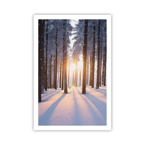 Poster - În mod clar în alb și negru - 61x91 cm
