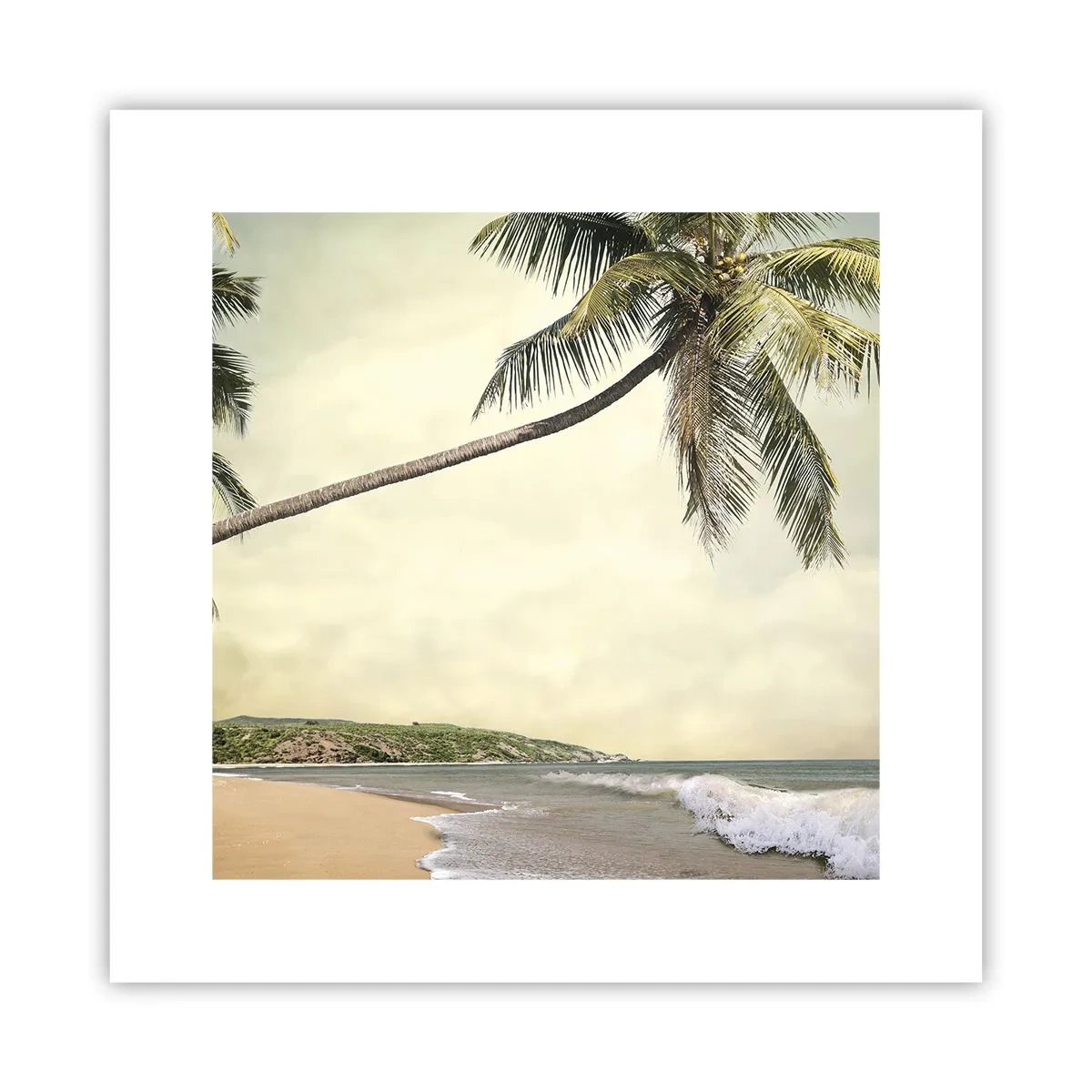 Poster - Vis tropical - 30x30 cm