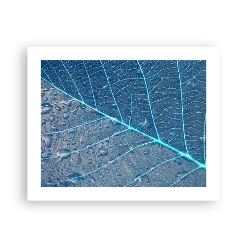 Poster - Viața în albastru - 50x40 cm