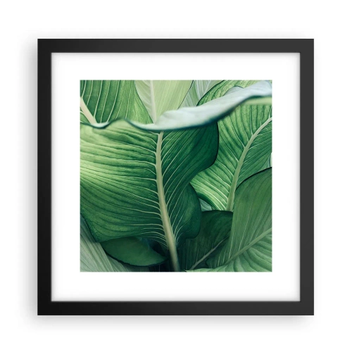 Poster în ramă neagră - Viață intensă în verde - 30x30 cm