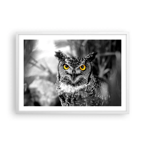 Poster în ramă albă - Nimic nu poate fi ascuns - 70x50 cm