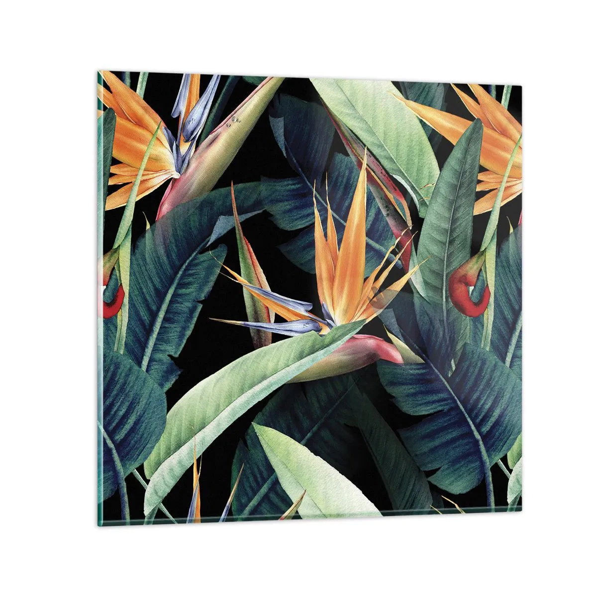 Tablou pe sticlă - Florile de flacără ale tropicelor - 40x40 cm