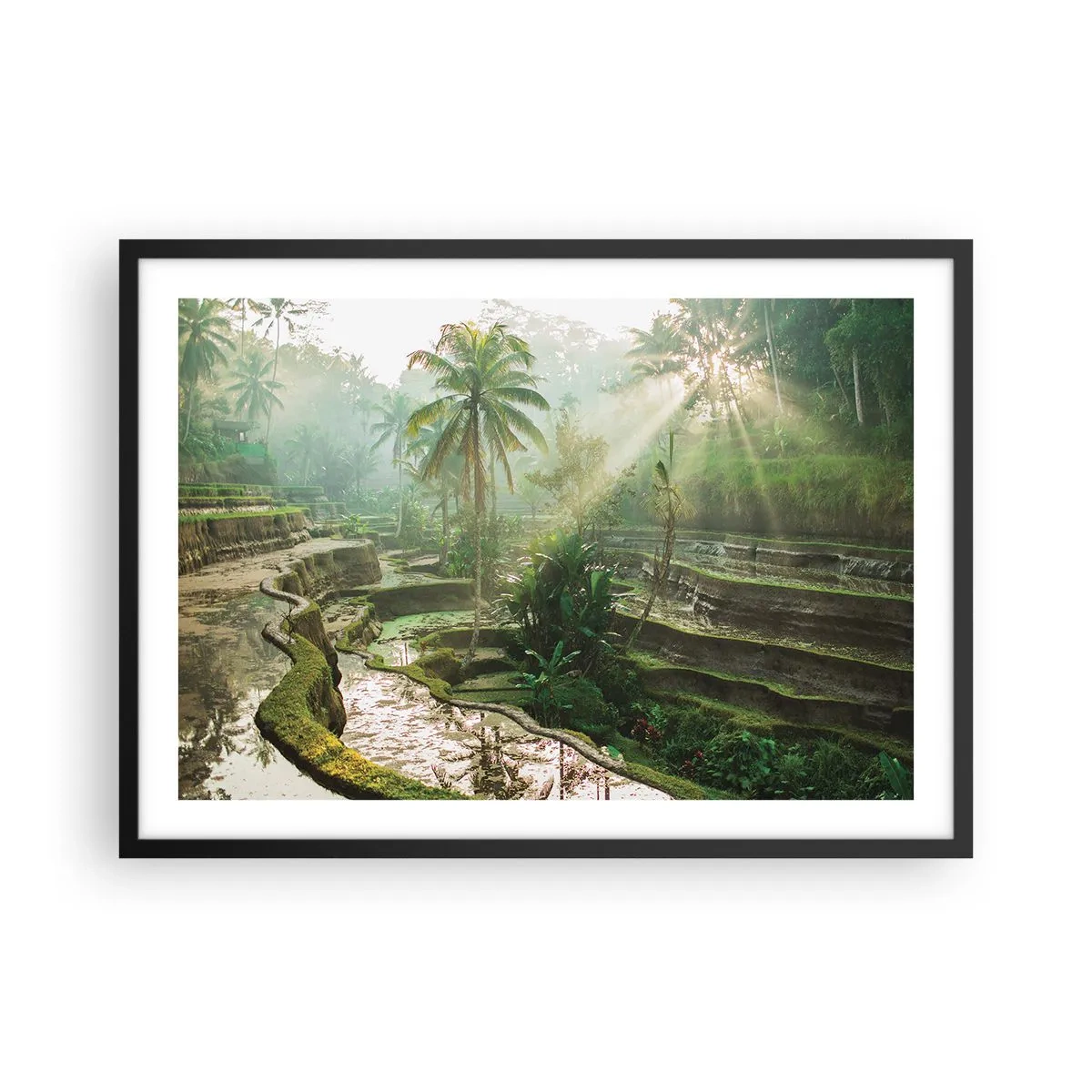 Poster în ramă neagră - Crescând la soare - 70x50 cm