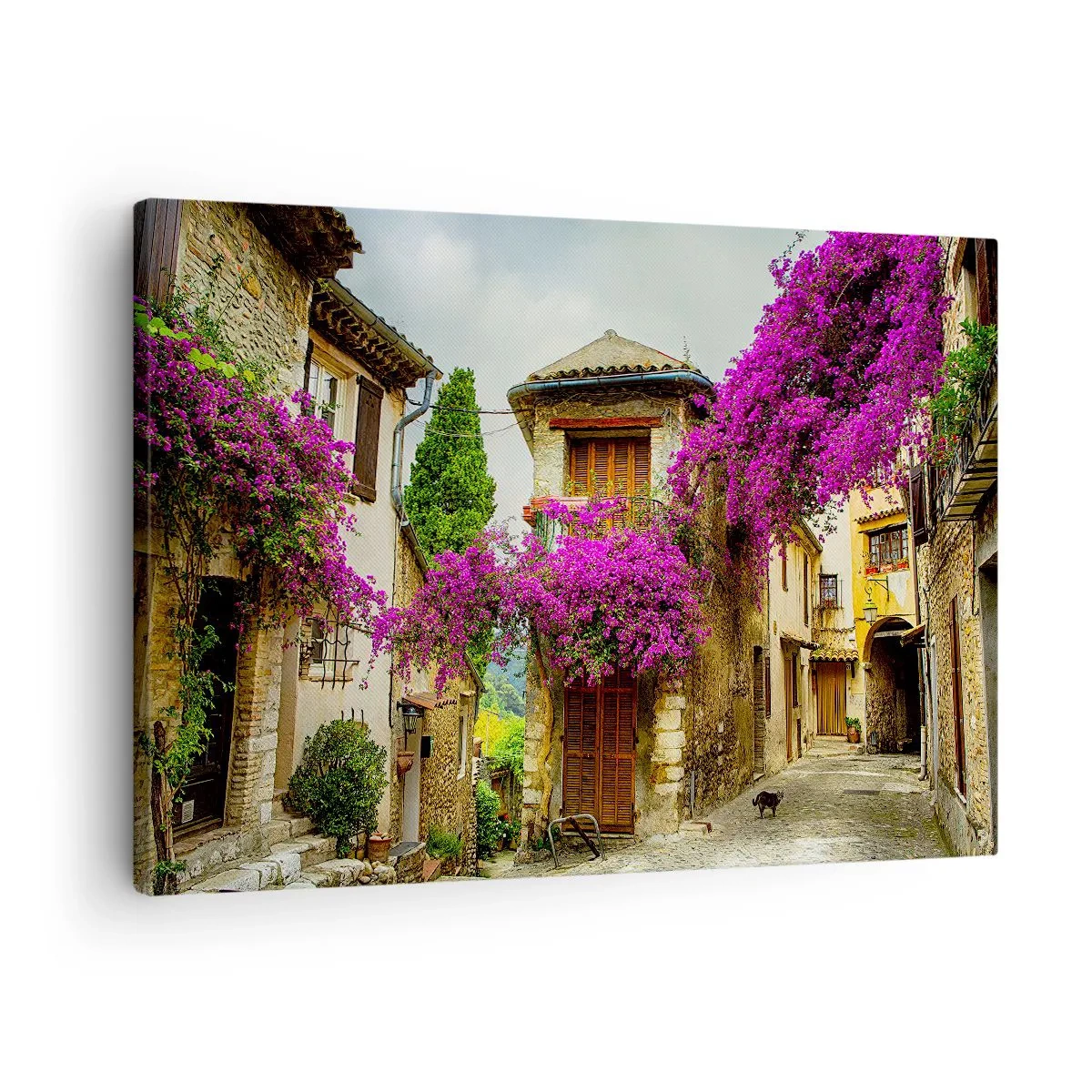 Tablou pe pânză Canvas - O stradă de piatră cu flori roz și case - 70x50cm - Sub un baldachin floral - Decorațiune modernă pentru perete pentru living și dormitor ARTTOR