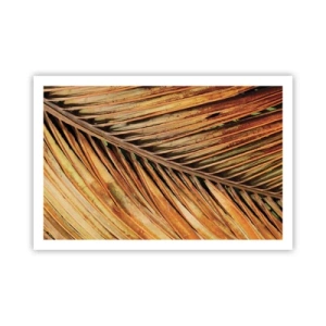 Poster - Aur de nucă de cocos - 91x61 cm