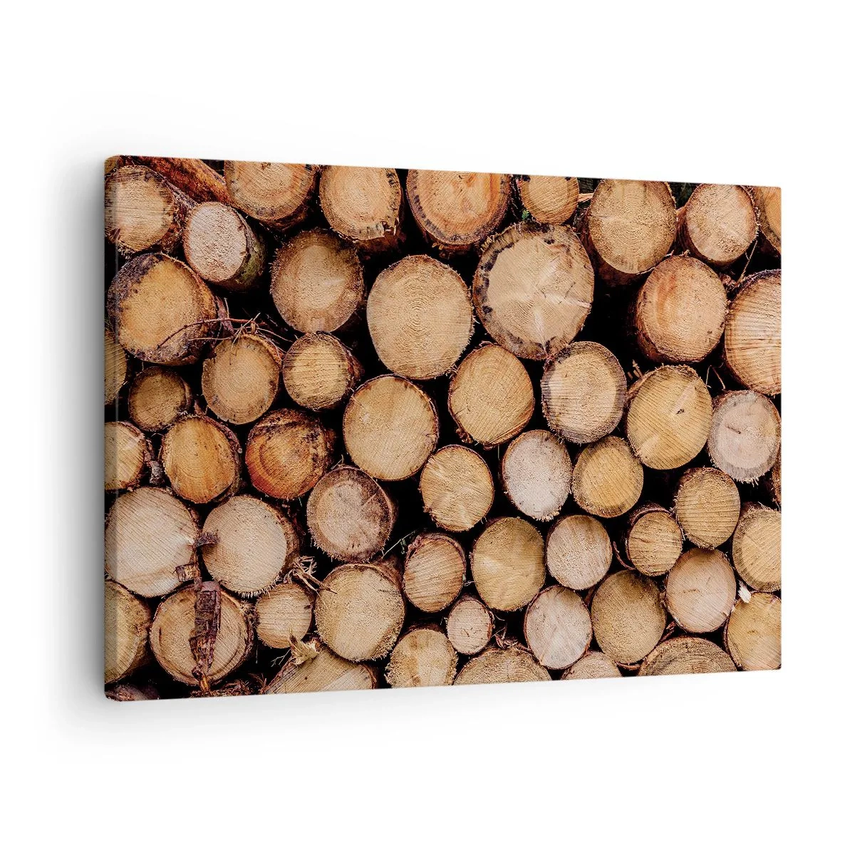 Tablou pe pânză Canvas - Grămezi de trunchiuri de copaci doborâți, aranjate în armonie - 70x50cm - Un nou început - Decorațiune modernă pentru perete pentru living și dormitor ARTTOR