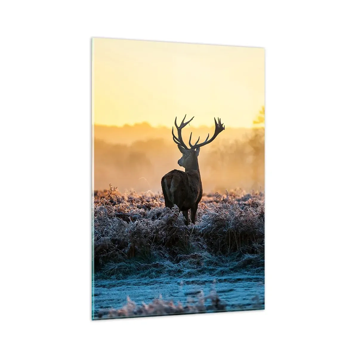 Tablou pe sticlă - Încoronat pe domeniul său - 80x120 cm