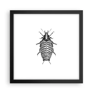 Poster în ramă neagră - Ce specimen! - 30x30 cm