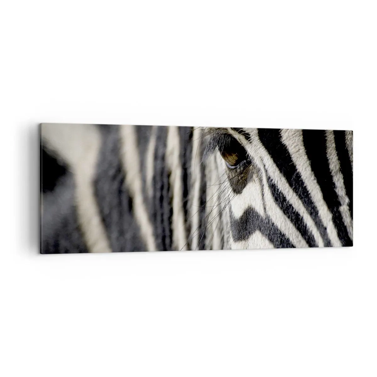 Tablou pe pânză - Portret cu dungi - 140x50 cm