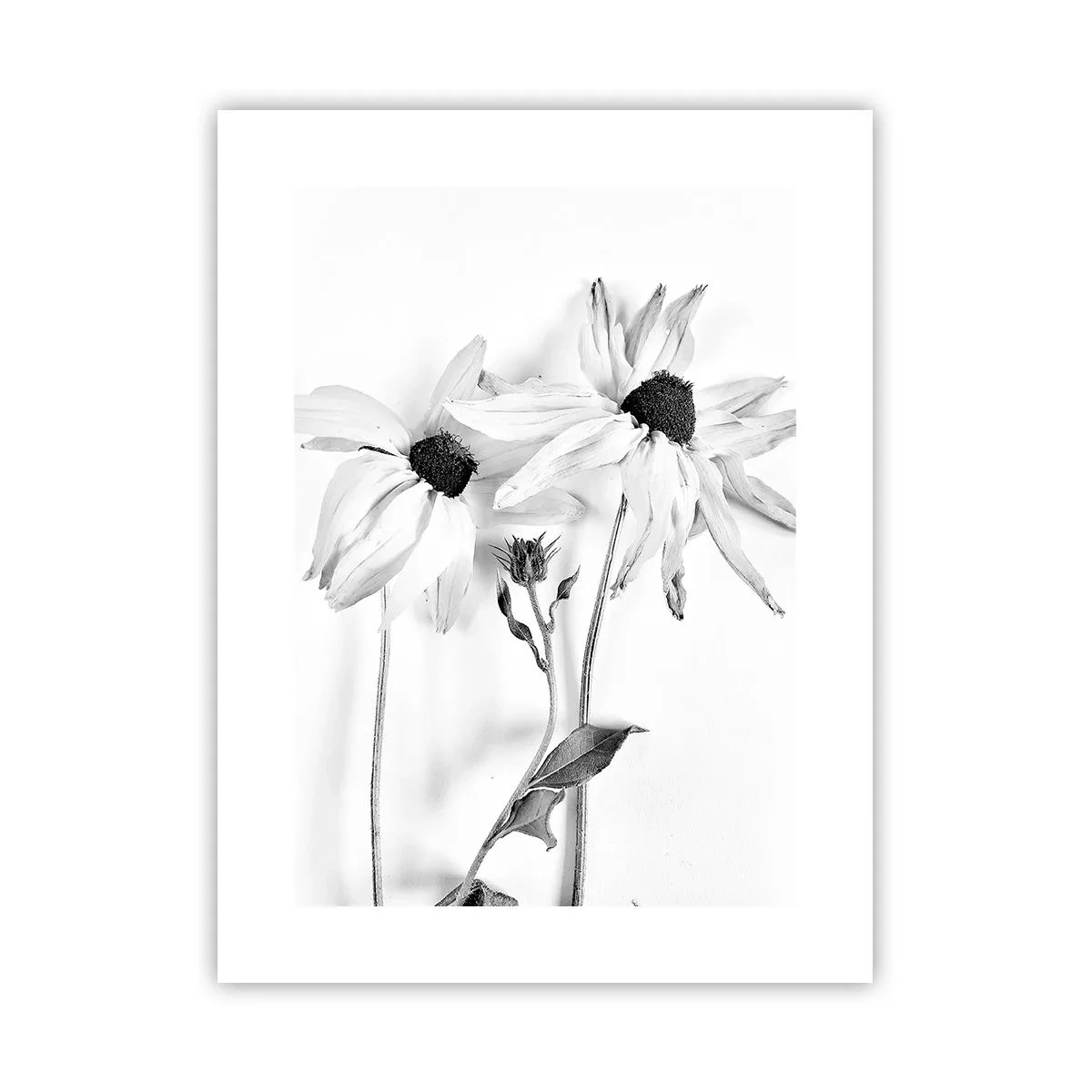 Poster - Nimeni nu vrea să fie singur - 30x40 cm