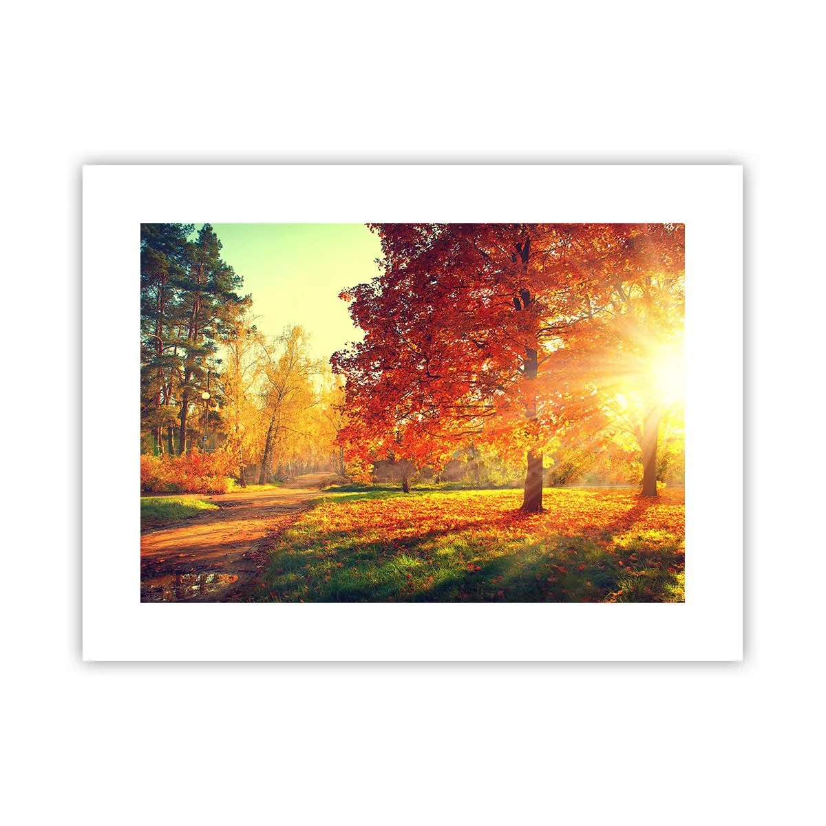 Poster - Roșcatul este frumos - 40x30 cm