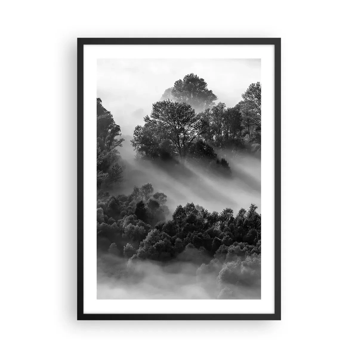Poster în ramă neagră - Pădure cețoasă în nuanțe de alb și negru - 50x70cm - Trezindu-se din somn - Decorațiune modernă pentru perete pentru living și dormitor ARTTOR