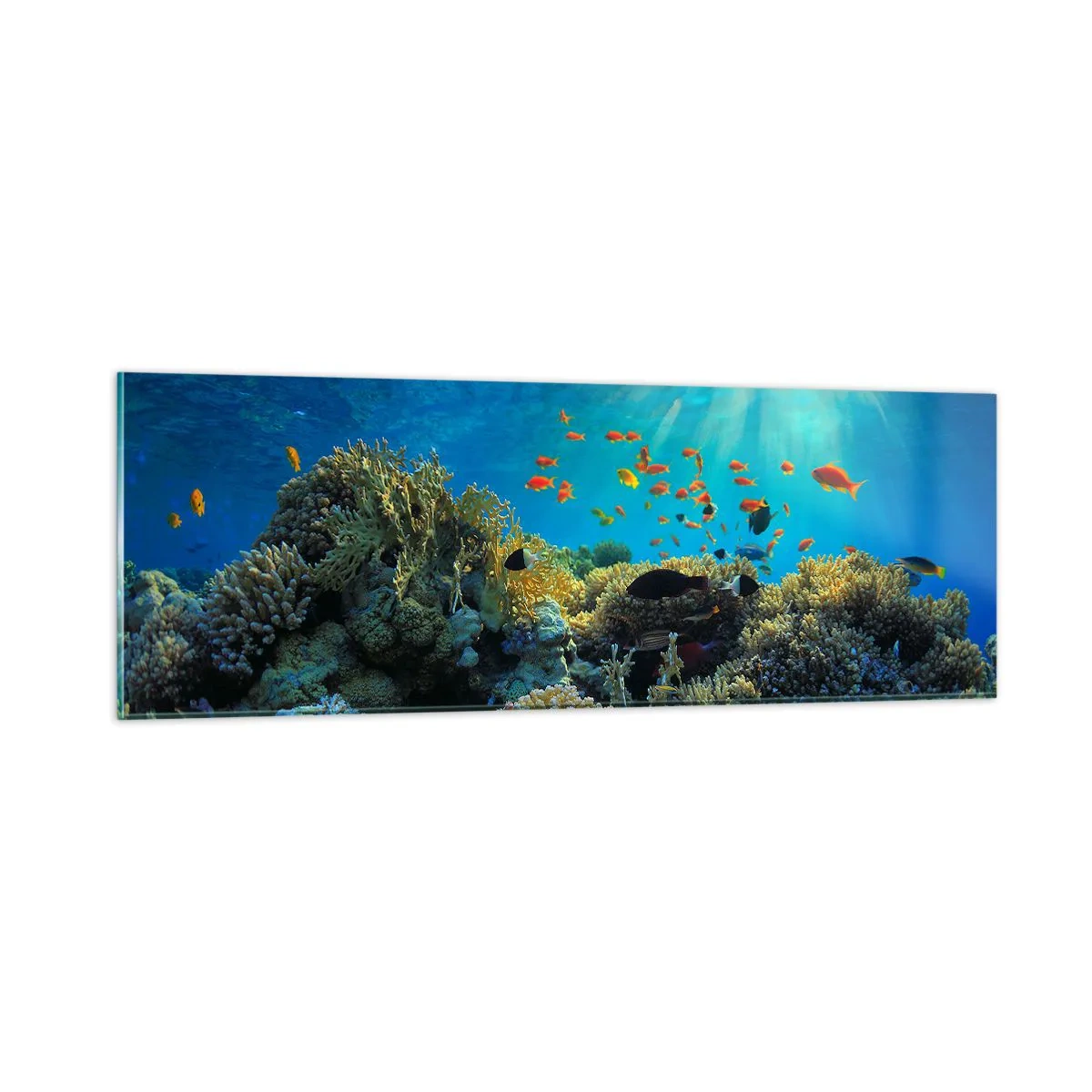 Tablou pe sticlă - Comori subacvatice - 90x30 cm
