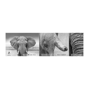 Mostră tapet Premium Sand - Bun venit în lumea mea - Elefant, Africa, Animale - 100x30 cm