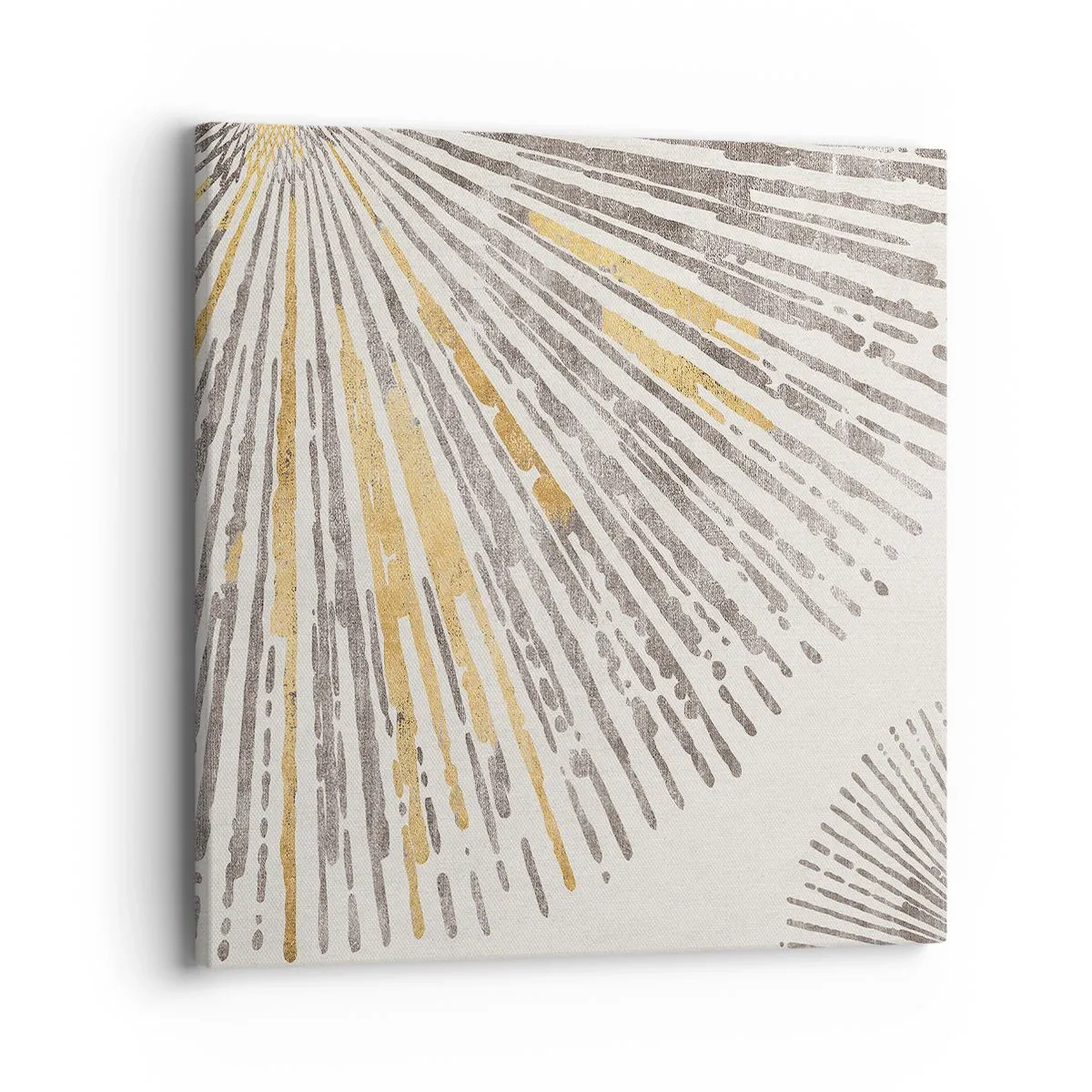 Tablou pe pânză - Frumusețea razei - 40x40 cm