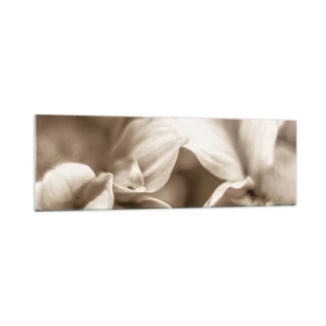 Tablou pe sticlă - Blânde ca un zâmbet - 160x50 cm