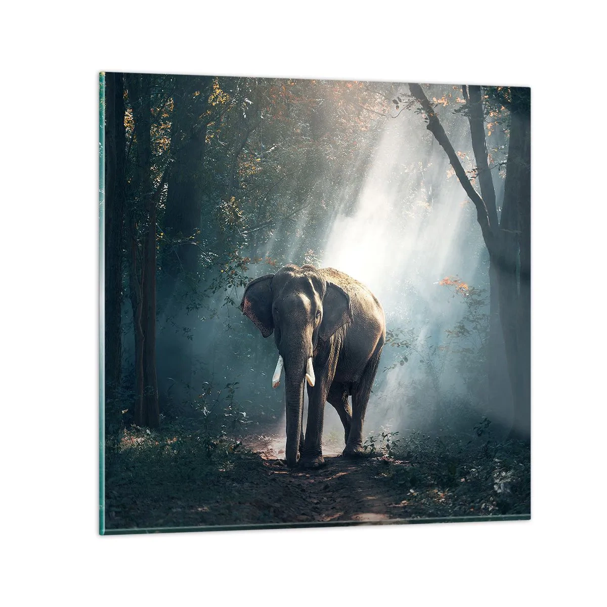 Tablou pe sticlă - O plimbare liniștită - 70x70 cm