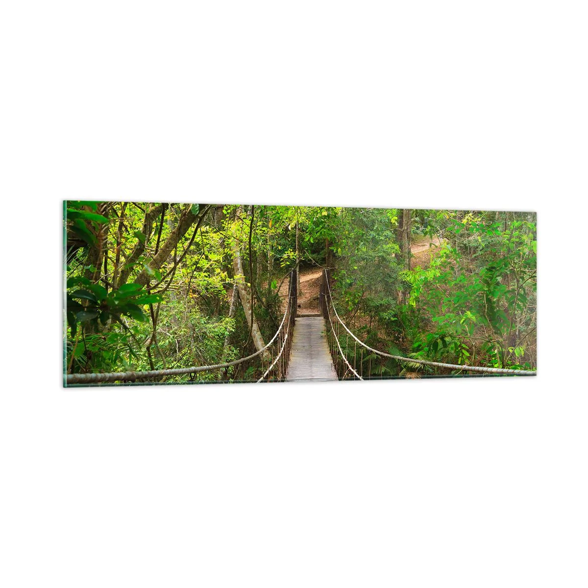 Tablou pe sticlă - Pentru că în grădină crește o liană - 90x30 cm