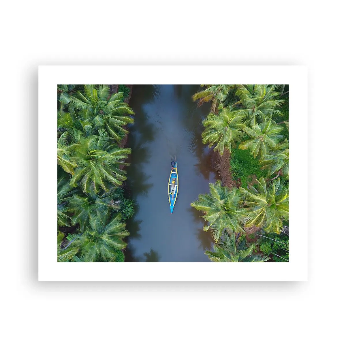 Poster - Pe traseul tropical - 50x40 cm