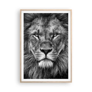 Poster în ramă de stejar deschis - În ținuta de încoronare - 70x100 cm