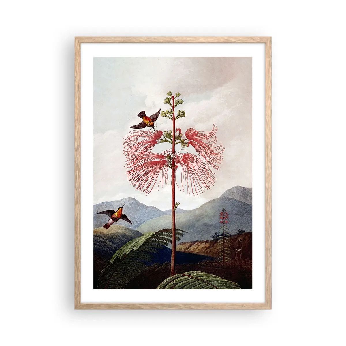 Poster în ramă de stejar deschis - Într-un paradis tropical - 50x70 cm