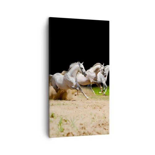 Tablou pe pânză - Trei Grații - 45x80 cm