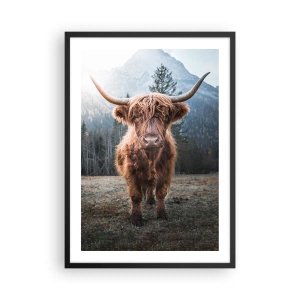 Poster în ramă neagră - Vacă scoțiană din rasa Highland cu munți maiestuoși în fundal - 50x70cm - Salutări de pe o pajiște de munte - Decorațiune modernă pentru perete pentru living și dormitor ARTTOR