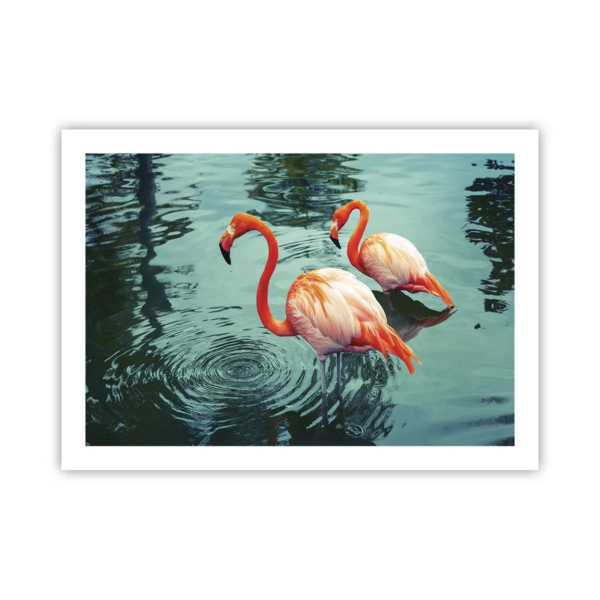 Poster - Suntem bune de revistele de modă - 70x50 cm