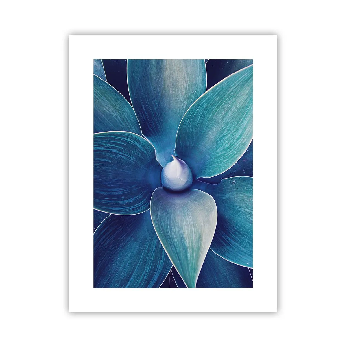 Poster - A furat albastrul de la cer - 30x40 cm