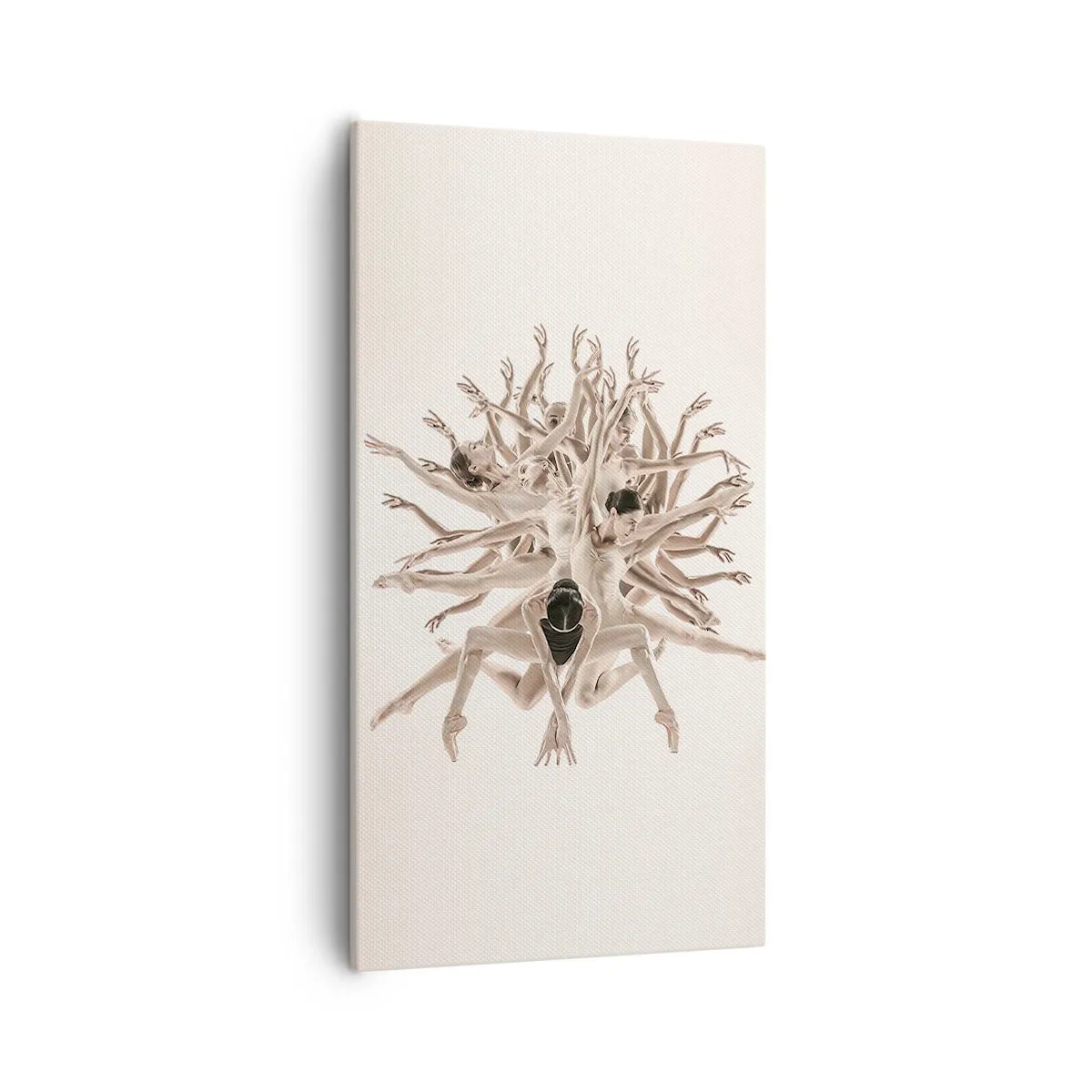 Tablou pe pânză - Înflorirea în dans - 55x100 cm