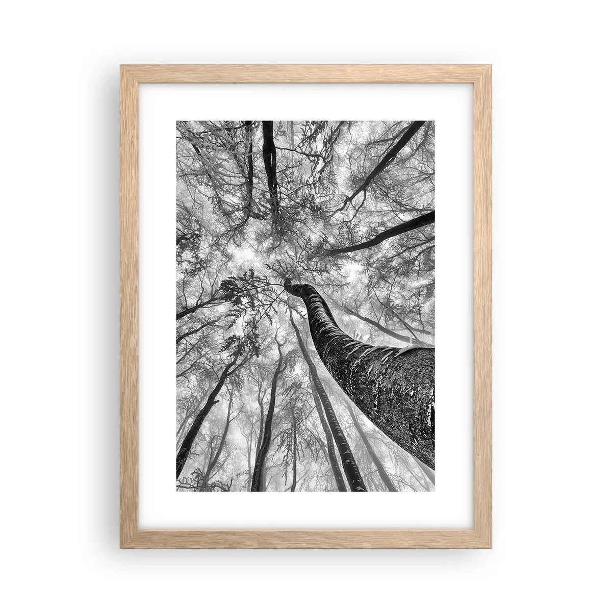 Poster în ramă de stejar deschis - Cursa spre lumină - 30x40 cm