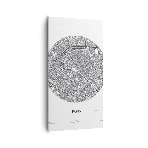 Tablou pe pânză - Anatomia Parisului - 65x120 cm