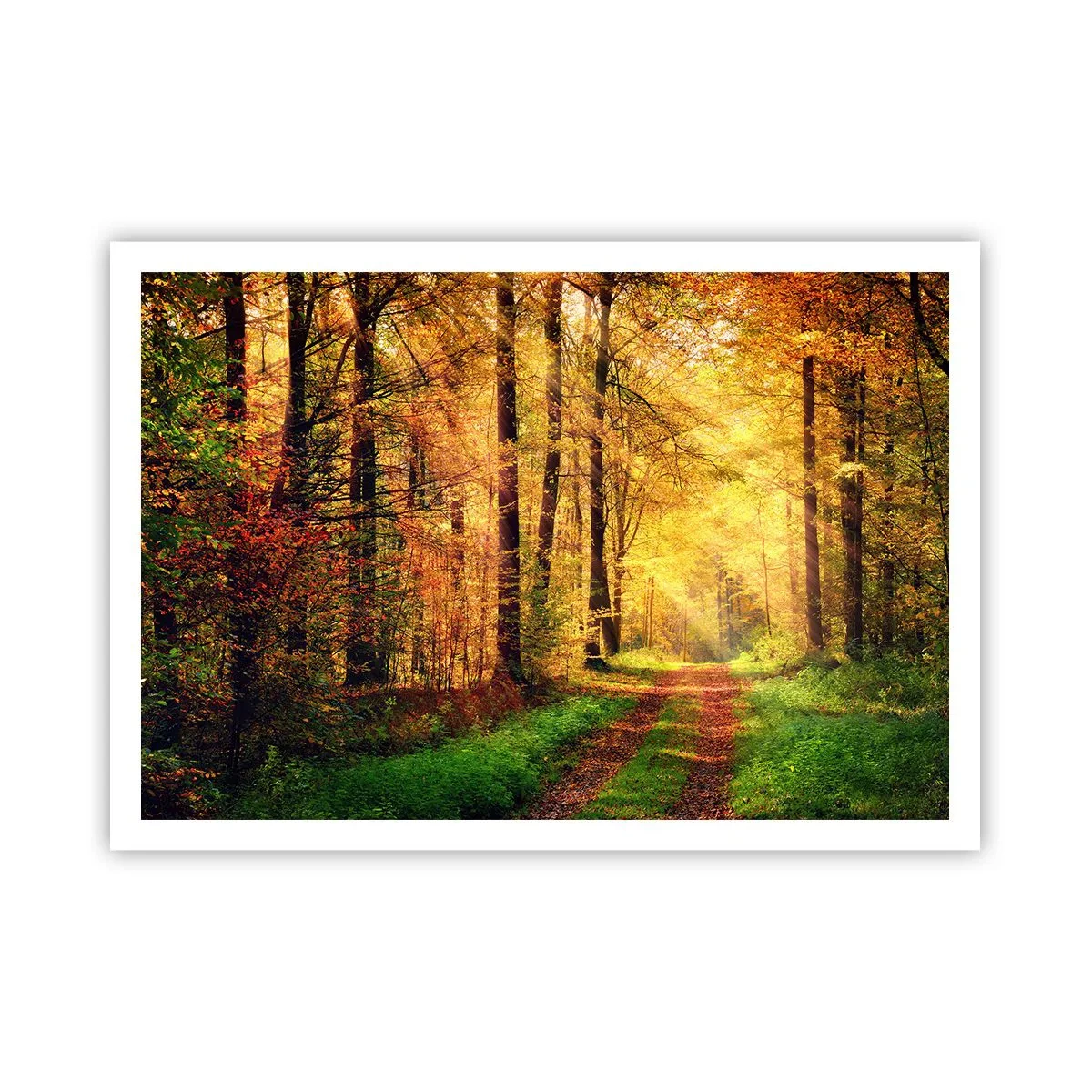 Poster - Tăcere de aur de pădure - 100x70 cm