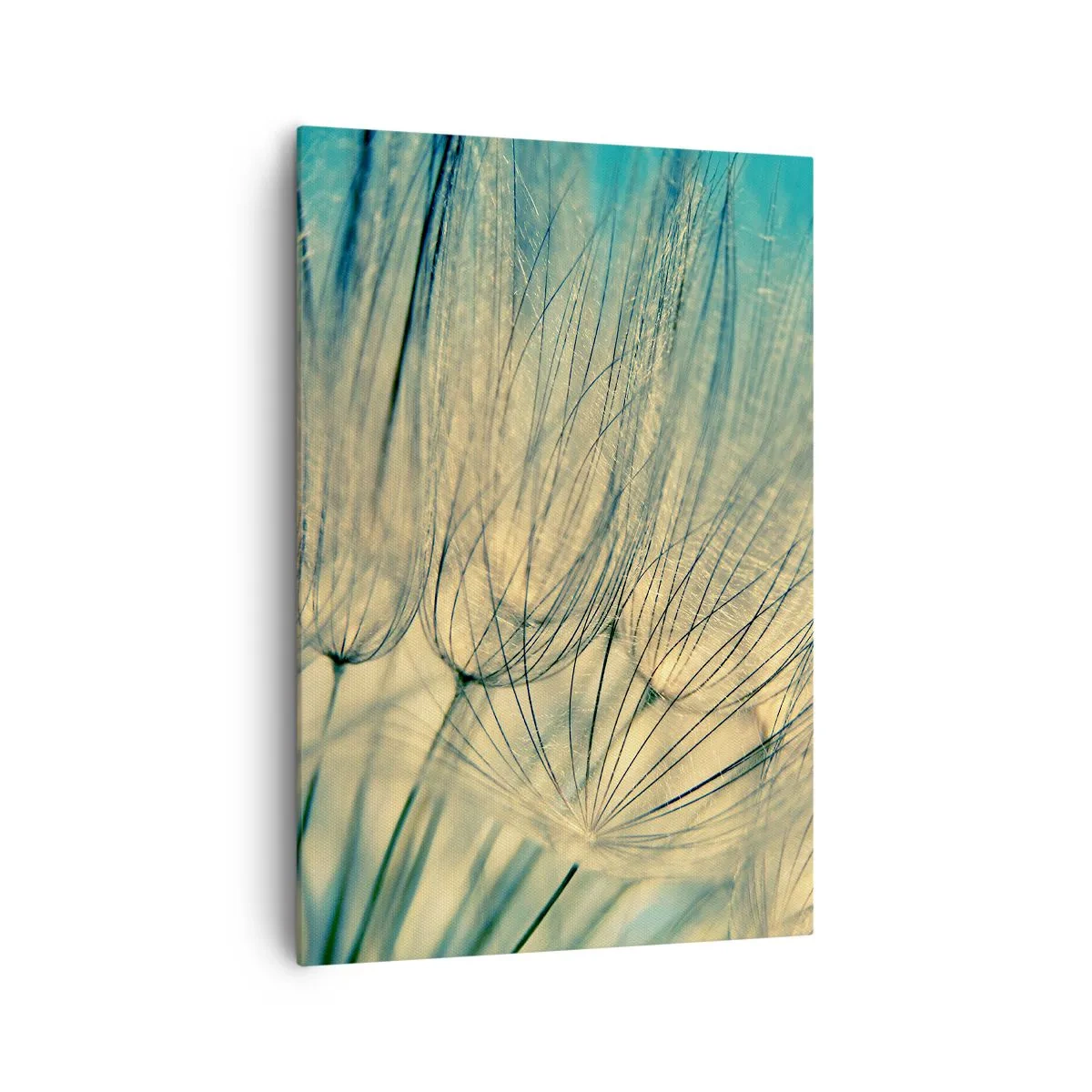 Tablou pe pânză - Așteptând vântul - 70x100 cm