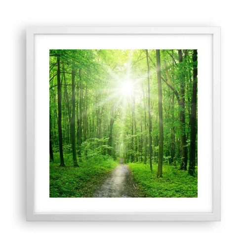 Poster în ramă albă - Catedrala verde - 40x40 cm