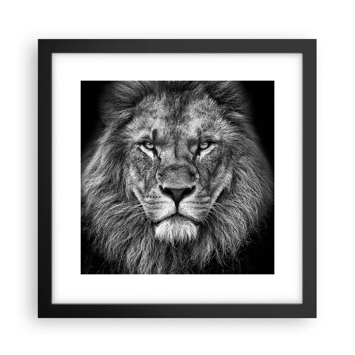 Poster în ramă neagră - În ținuta de încoronare - 30x30 cm