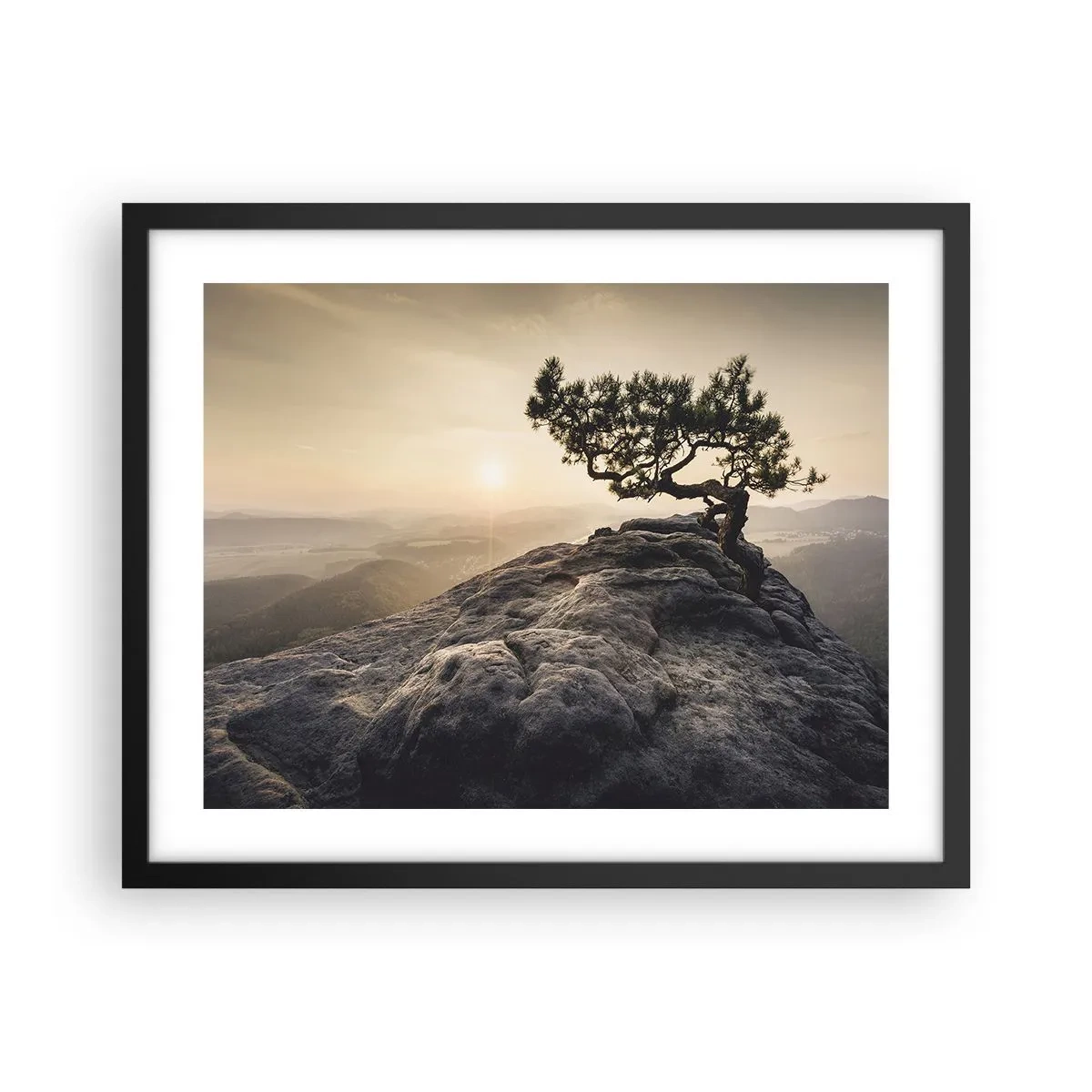 Poster în ramă neagră - Viața învinge întotdeauna - 50x40 cm