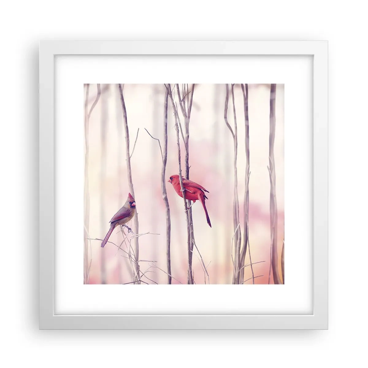 Poster în ramă albă - O poveste din Pădurea Roz - 30x30 cm