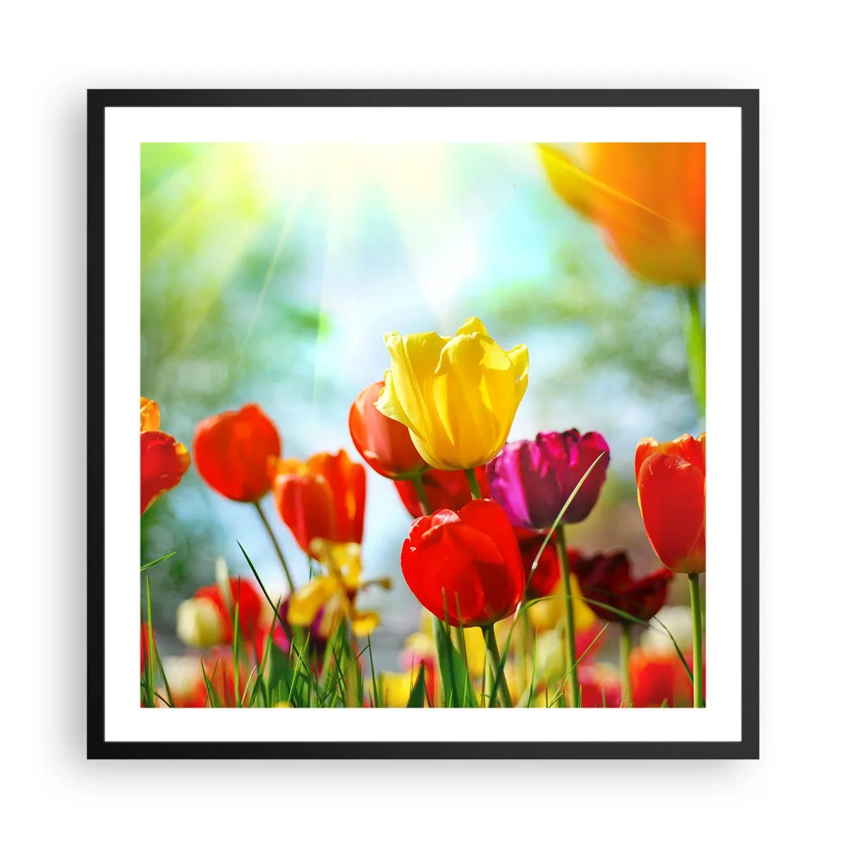 Poster în ramă neagră - Toate culorile soarelui - 60x60 cm