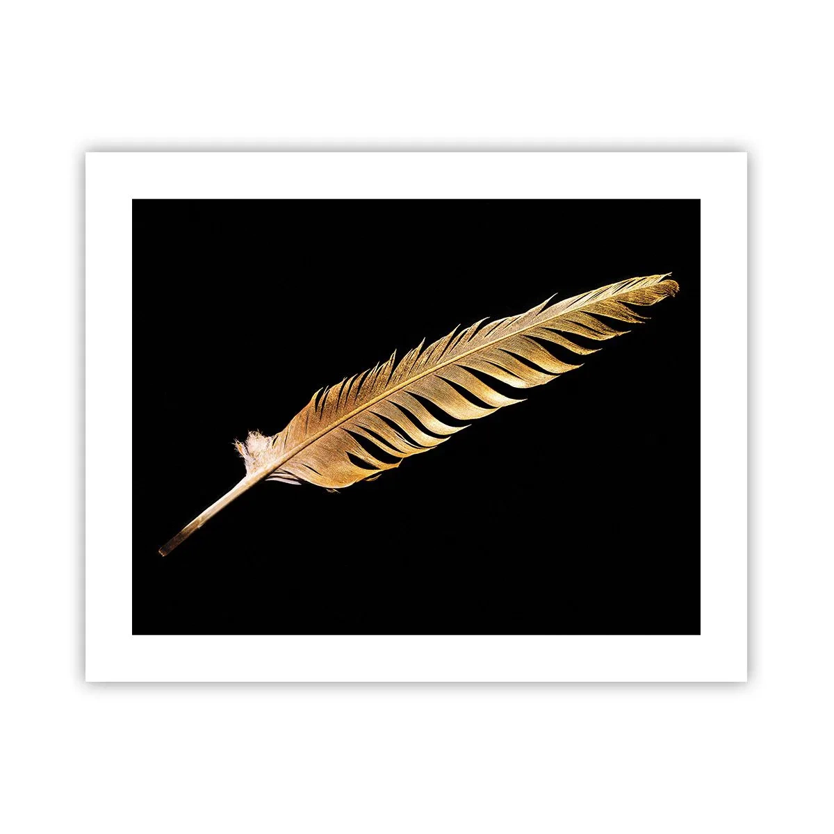 Poster - Pană aurie perfectă - 50x40 cm